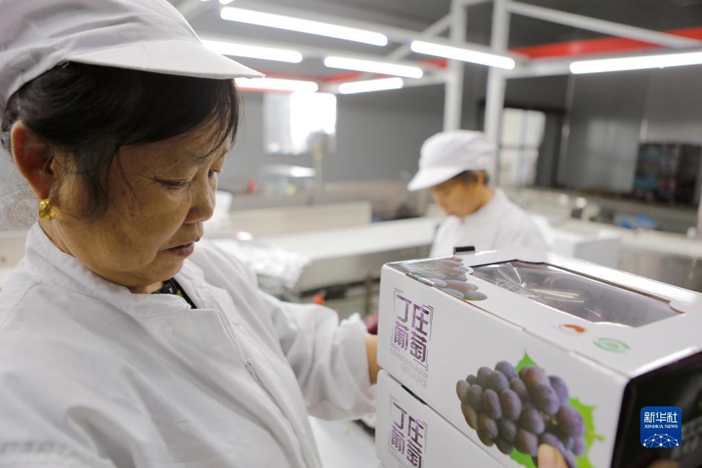 开心大赢家官网